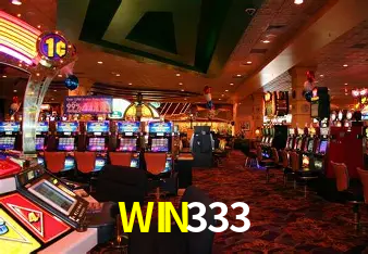 WIN333