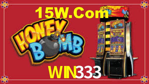 WIN333