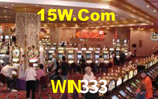 WIN333